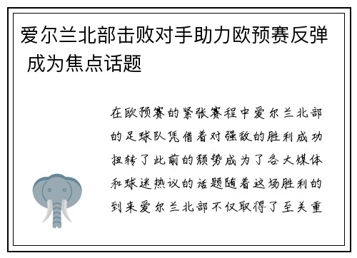爱尔兰北部击败对手助力欧预赛反弹 成为焦点话题