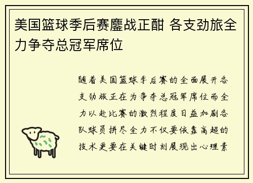美国篮球季后赛鏖战正酣 各支劲旅全力争夺总冠军席位