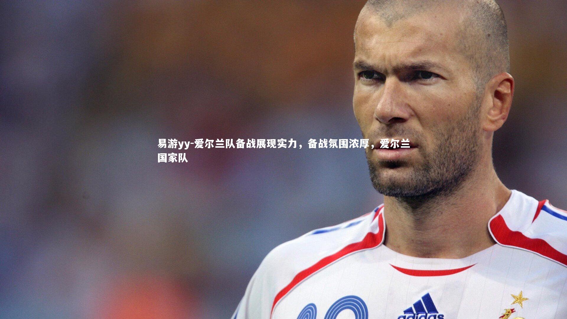 易游yy-爱尔兰队备战展现实力，备战氛围浓厚，爱尔兰国家队