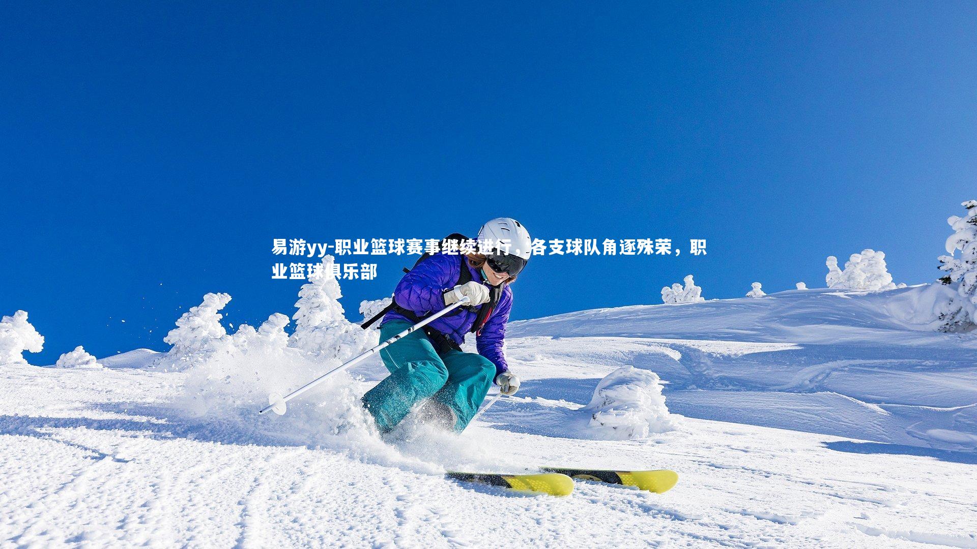 易游yy-职业篮球赛事继续进行，各支球队角逐殊荣，职业篮球俱乐部