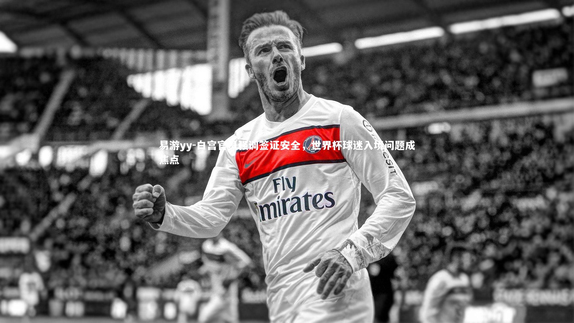 白宫官员强调签证安全，世界杯球迷入境问题成焦点